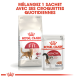 Emballage de nourriture pour chats Royal Canin montrant le sac Regular Fit et le sachet Instinctive avec le texte : "Mélangez 1 sachet avec ses croquettes quotidiennes."