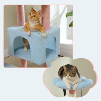 Zwei Katzen auf einem bunten Katzenbaum; eine orangefarbene Tabby sitzt in einem blauen Versteck, während eine Calico auf einer blauen Sitzfläche ruht.