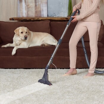 Eine Frau in einem beigen Pullover und hellen Hosen saugt einen weißen Teppich, während ein entspannter gelber Labrador auf einem braunen Sofa liegt.