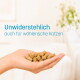Grau-getigerte Katze mit Dose Katzenfutter, deutscher Text „Hypoallergen & funktional – das tut deiner Katze gut“