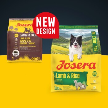 Zwei Josera Lamm & Reis Hundefutterbeutel, ein altes 900g Design und ein neues Design mit einem Hundebild und dem Label „NEUES DESIGN“.