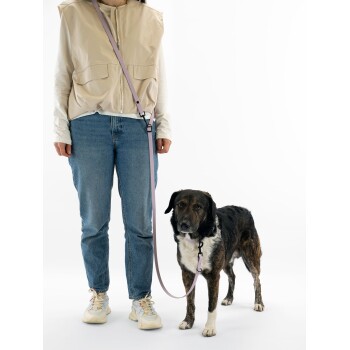 Nahaufnahme eines grauen Haustiergeschirrs mit einem lavendelfarbenen Riemen und einem schwarzen Metallclip, das sein verstellbares Design zeigt.