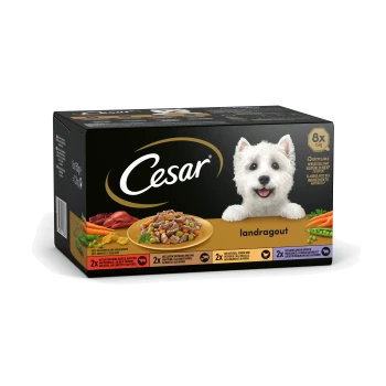 Cesar-Hundefutterverpackung mit dem Geschmack 'Landragout', mit einem Teller voller gemischtem Fleisch und Gemüse, und Text, der 8x150g Portionen angibt.