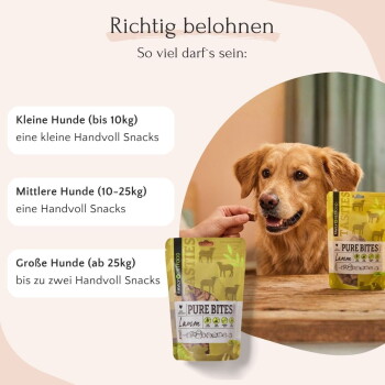 Eine Sammlung von gelben Verpackungen für "Pure Bites" Lamm-Hundeleckerlis, mit Silhouetten von Hunden, Nährstoffsymbolen und dem Text "Pure Bites Lammm."