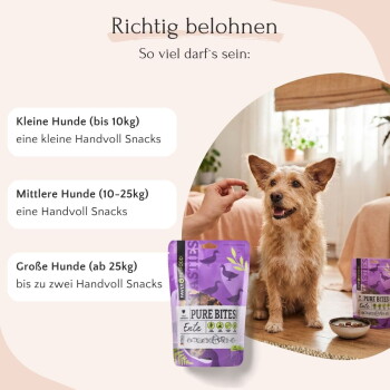 Drei Beutel "Pure Bites Ente" Haustierleckerlis, vor einem hellen Hintergrund präsentiert, mit lila Verpackung und Vogelgrafiken.