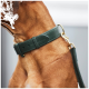 Eine Nahaufnahme des Halses eines braunen Hundes, der ein dunkelgrünes Lederhalsband mit einem goldenen Verschluss trägt, das ein stilvolles Design zeigt.