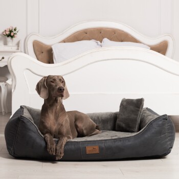 Graues Haustierbett mit plüschigem Innenraum und einem kleinen Seitkissen, mit einem braunen Etikett mit dem Markennamen 'tierlando.'