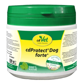 Behälter von cdVet cdProtect® Dog forte+, einem natürlichen Nahrungsergänzungsmittel für Hunde, mit einem grünen Deckel und 150g Etikett.