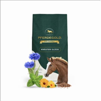 Grüne PFERDEGOLD Goldmüsli-Tüte mit Aufschrift Kräuter Glück, Pferdekopf, blaue Kornblumen, Ringelblumen, Minzblätter und Leinsamen.