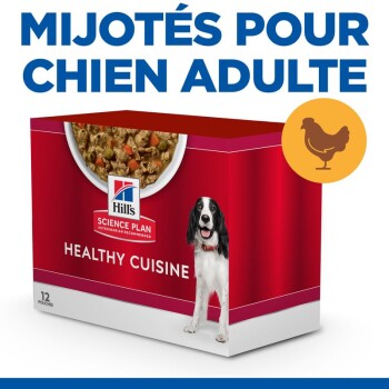 Hill's Science Plan Healthy Cuisine pour chiens adultes, avec un bol de ragoût avec du poulet et des légumes, 12 sachets inclus.