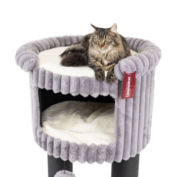 Eine flauschige graue Katze, die auf einem plüschigen, runden Katzenbaum mit einer gemütlichen oberen Plattform und einem weichen, weißen Innenraum entspannt. Ein Etikett liest "CANADIAN CAT."
