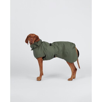 Brauner Vizsla in Seitenansicht trägt olivgrünen, wasserdichten Hundemantel mit hohem Kragen und Schnalle.