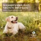 Ein glücklicher gelber Labrador auf grünem Gras mit deutschem Text: "Ausgeglichenheit durch natürliche Beruhigung" und einem "NATÜRLICHE ZUTATEN" Logo.