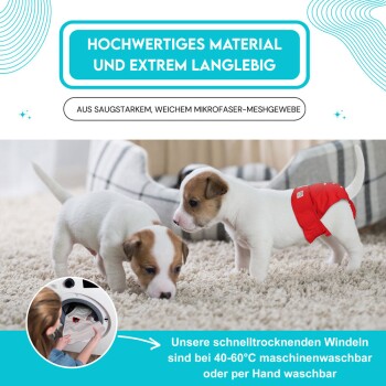 Zwei verspielte Welpen in einer gemütlichen Innenumgebung; einer in einer roten Windel. Hebt das strapazierfähige, maschinenwaschbare Mikrofaser-Material hervor.
