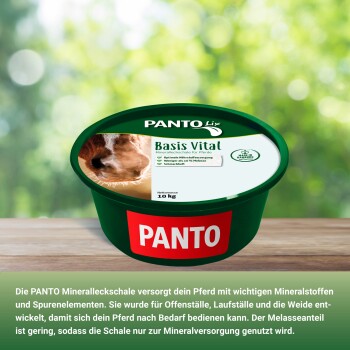 PANTO Mineralleckstein für Pferde in einem dunkelblauen Behälter, 10 kg, mit einem Etikett, das ein braunes Pferd zeigt und deutschen Text über Mineralergänzungen enthält.