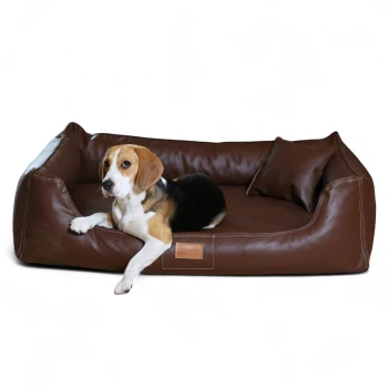 Beagle liegt auf einem braunen Lederhaustierbett mit passendem Kissen, beschriftet mit „tierlando.de“.