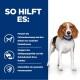 Ein Beagle steht vor einem blauen Hintergrund mit Text, der Vorteile hervorhebt: Fettverbrennung, schlanke Muskulatur, Sättigung und Immununterstützung.
