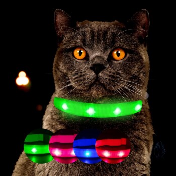 Eine Nahaufnahme einer grauen Katze mit leuchtend orangefarbenen Augen, die ein leuchtendes grünes Halsband trägt, mit roten, blauen und grünen Halsbandoptionen, die darunter angezeigt werden.