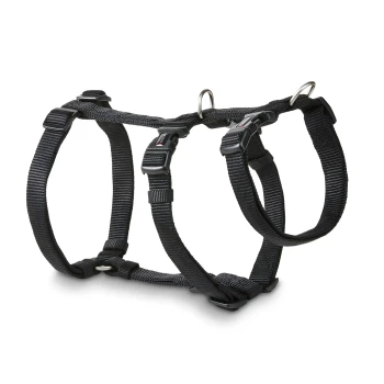 Schwarzes verstellbares Nylon-Hundegeschirr mit Schnellverschluss und Metall-D-Ringen auf weißem Hintergrund.