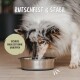 Ein Collie frisst aus einer Edelstahlschüssel auf einem Holzboden, mit Textüberlagerung: "RUTSCHFEST & STABIL" und "SICHERE MAHLZEIT OHNE UMKIPPEN."