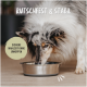 Ein Collie frisst aus einer Edelstahlschüssel auf einem Holzboden, mit Textüberlagerung: "RUTSCHFEST & STABIL" und "SICHERE MAHLZEIT OHNE UMKIPPEN."