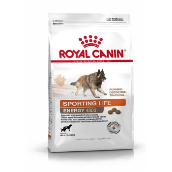 ENERGY 4300 (TRAIL) 15 kg Royal Canin Sporting Life Hundefutterbeutel mit einem Deutschen Schäferhund, beschriftet mit "ENERGY 4300", geeignet für aktive Hunde, mit Text zur Ernährung.