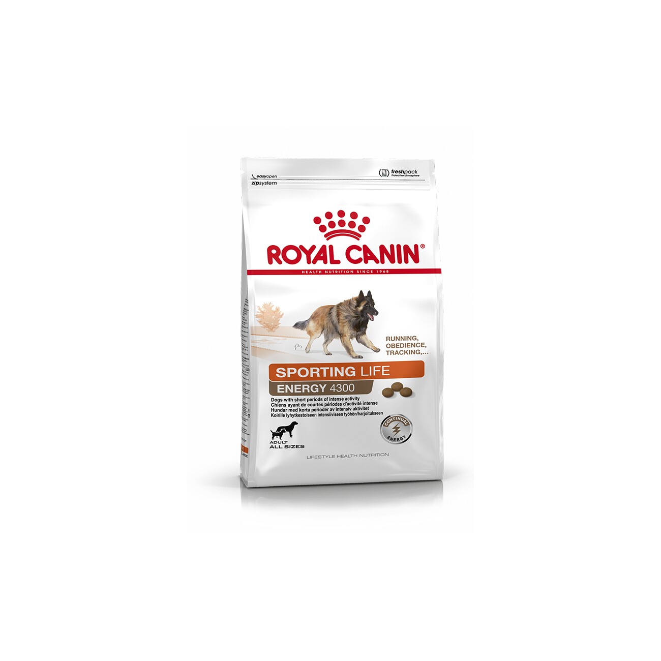 ROYAL CANIN ENERGY 4300 TRAIL 15 kg
