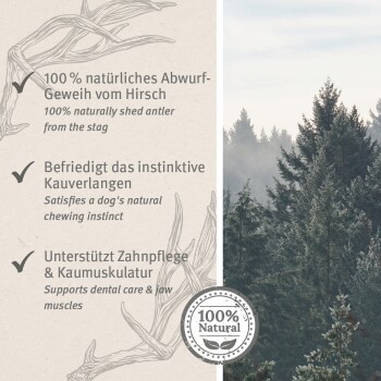 Rehgeweih-Kauartikel für Hunde, beschriftet "100% Natürlich," fördert Zahnpflege und Kaureflexe auf Deutsch und Englisch.