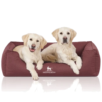 Zwei Golden Retriever Welpen, die auf einem kastanienbraunen Hundebett liegen, auf dem das Logo "KNUFFELWUFF" deutlich zu sehen ist.