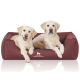 Zwei Golden Retriever Welpen, die auf einem kastanienbraunen Hundebett liegen, auf dem das Logo "KNUFFELWUFF" deutlich zu sehen ist.