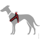 Illustration eines grauen Hundes, der ein schwarzes und rotes Geschirr trägt, das das Design und die Struktur des Geschirrs zeigt.