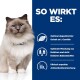 Eine flauschige blauäugige Katze auf einem blauen Hintergrund mit Text, der Vorteile hervorhebt: optimales L-Carnitin, Ballaststoffmix und Antioxidantienmischung.
