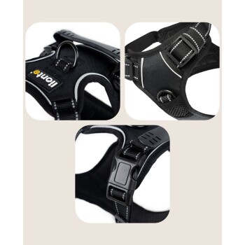 Schwarzes Haustiergeschirr mit verstellbaren Riemen, einer stabilen Schnalle und einem Metall-D-Ring zur Leinenbefestigung.