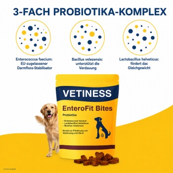 Gelbe VETINESS EnteroFit Bites Probiotikahundeleckerlitasche mit Kroketten und Hundeabbildung, Überschrift ‚3-FACH PROBIOTIKA-KOMPLEX‘.