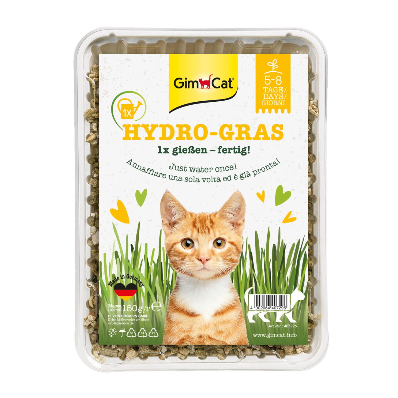 Gimcat Grün/Licht Hydro-Gras | 150 G - Image 3