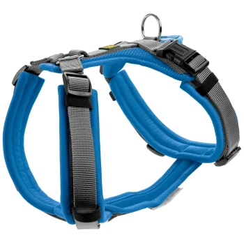 Blauer gepolsterter Hundegeschirr mit verstellbaren Riemen und einem Metall-D-Ring zur Leinenbefestigung.
