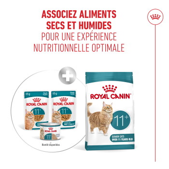 Sac de nourriture sèche Royal Canin et sachets humides avec image de chat pour chats seniors, étiquetés 'ROYAL CANIN' et '11+'.