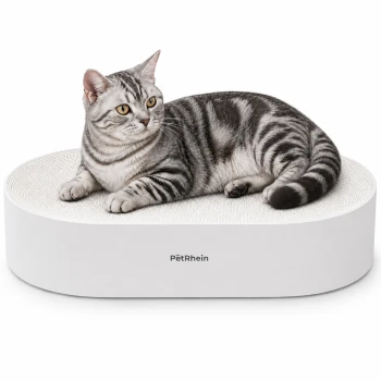 Schildpattkatze liegt in weißem ovalem Haustierbett, beschriftet 'Pethrein'.