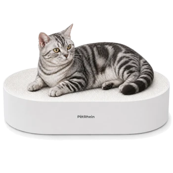 Schildpattkatze liegt in weißem ovalem Haustierbett, beschriftet 'Pethrein'.