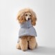 Ein flauschiger Hund trägt einen stylischen grauen Kapuzenpullover, der einen strukturierten Stoff und ein gemütliches Design zeigt, von hinten betrachtet.