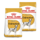 Zwei Säcke Royal Canin Hundefutter mit der Aufschrift "Adult Dalmatian", mit einer Illustration eines Dalmatiners und einem gelb-weißen Design.