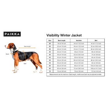 Ein Beagle steht neben einer Größentabelle für eine "Sichtbarkeit Winterjacke" von PAIKKA, die Maße für Rückenlänge, Halsauschnitt und Gürtel angibt.