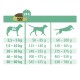 Fütterungsanleitung für Select Gold Hundefutter, die empfohlene Tagesmengen basierend auf dem Gewicht des Hundes (2,5-80 kg) in Gramm zeigt.