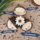 Drei Kokosnussschalenhälften gefüllt mit einer cremigen Mischung, beschriftet mit "fettreich", "nahrhaft", "nachhaltig" und "naturbelassen", mit einer Blume oben drauf.