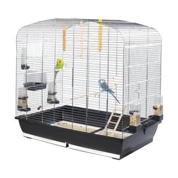 A spacious birdcage with two colorful budgerigars—one green/yellow, the other blue/white—on wooden perches with food dispensers.