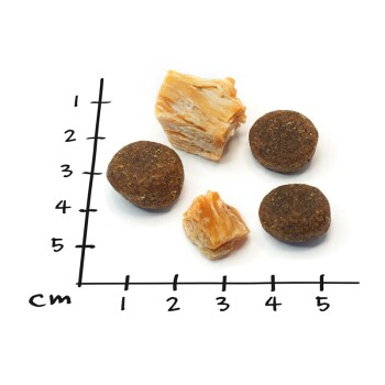 Haustierfutterproben auf einem weißen Hintergrund: zwei runde braune Kroketten, zwei unregelmäßige Leckereien und ein Lineal, das 5 cm misst.
