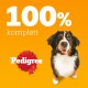 Ein glücklicher Berner Sennenhund steht vor einem leuchtend orangefarbenen Hintergrund, mit dem Text '100% komplett' darüber und dem Pedigree-Logo darunter.