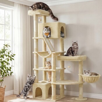 Beiger mehrstufiger Kratzbaum mit sechs Katzen, die auf Plattformen, in der Höhle und in der Hängematte faulenzen; hängendes Bommel-Spielzeug bei einem sonnendurchfluteten Fenster.