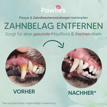 Bild, das die Zähne eines Hundes vor und nach der Zahnsteinentfernung vergleicht. Text: "Zahnstein entfernen für einen gesunden Mund und frischen Atem."
