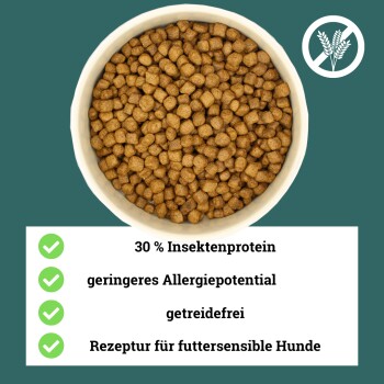 Trockenfutter Insekten, Insekten Hund, Hypoallergen & Sensitive 750 g